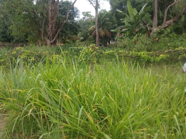 Área para Venda em Maricá - 5