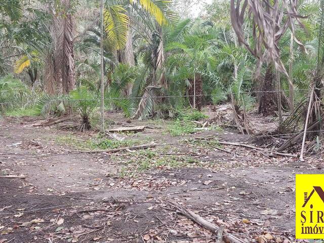Área para Venda em Maricá - 5