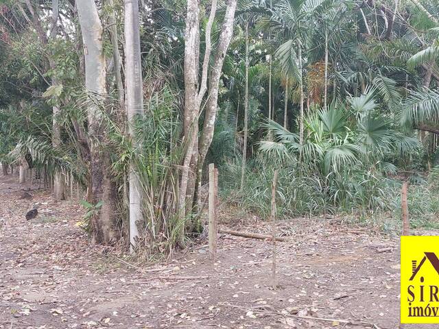 Área para Venda em Maricá - 3