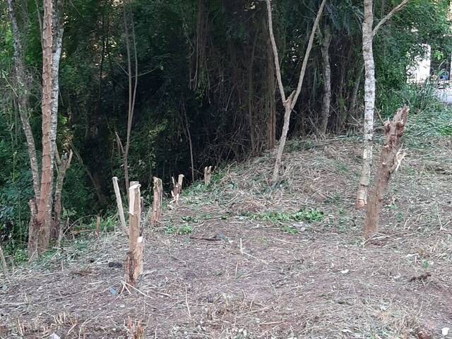 Área para Venda em Maricá - 5