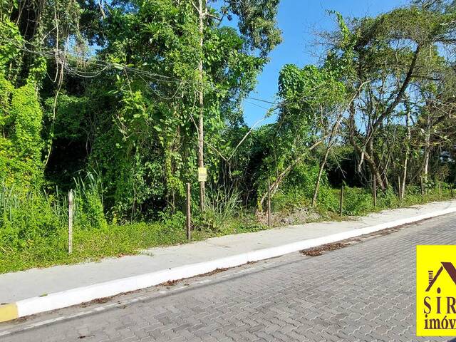 Lote para Venda em Maricá - 4
