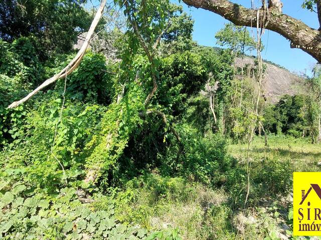 Lote para Venda em Maricá - 5