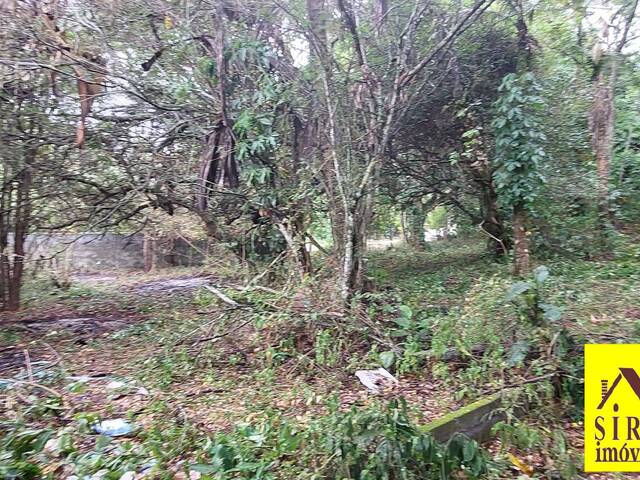Terrenos para Venda em Maricá - 5