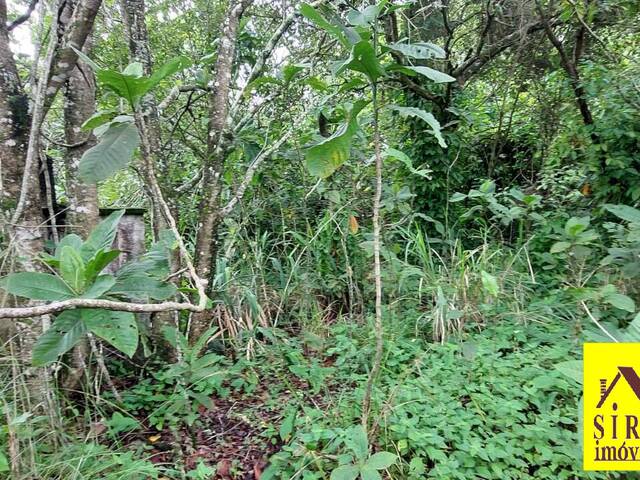 Área para Venda em Maricá - 4