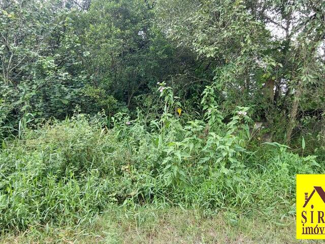 Área para Venda em Maricá - 5