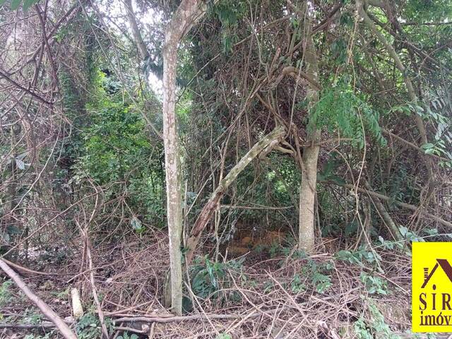 Lote para Venda em Maricá - 4