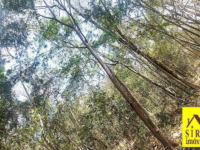 #978 - Área para Venda em Maricá - RJ - 1