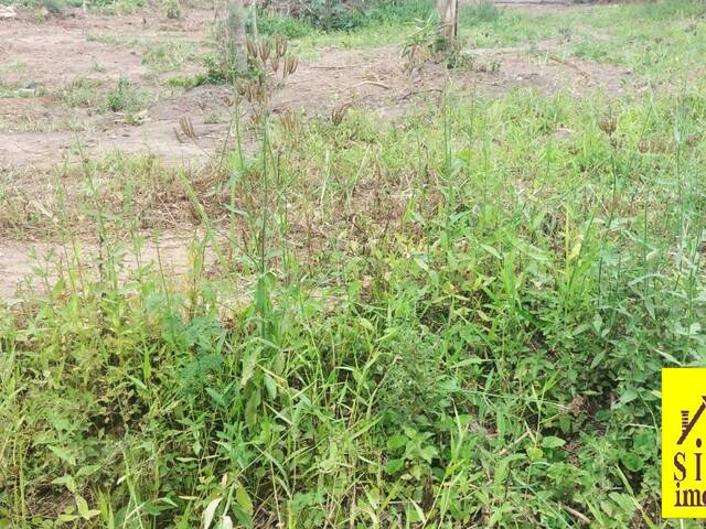 #981 - Lote para Venda em Maricá - RJ - 1