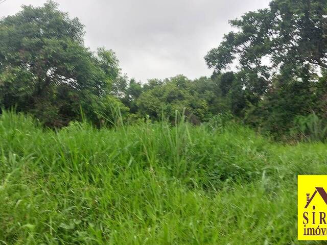 Terreno para Venda em Maricá - 4
