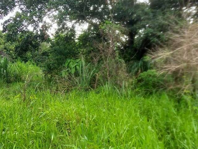 Terreno para Venda em Maricá - 5