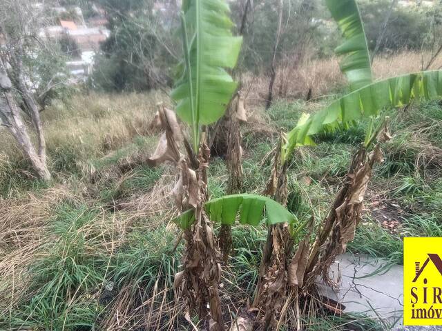Terreno para Venda em Maricá - 5