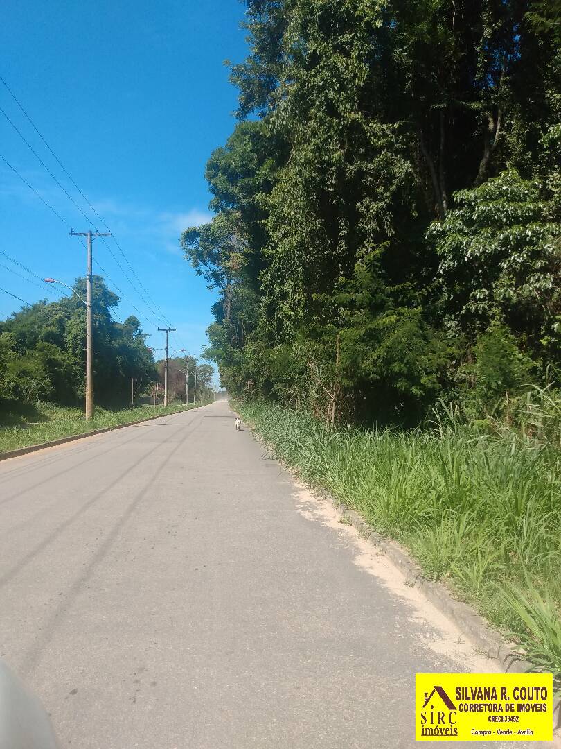 Chácara, 3 quartos, 3990 m² - Foto 22