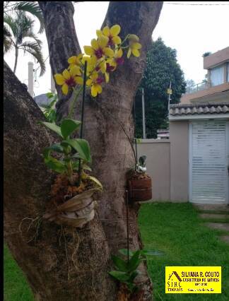 Casa à venda com 3 quartos, 480m² - Foto 19