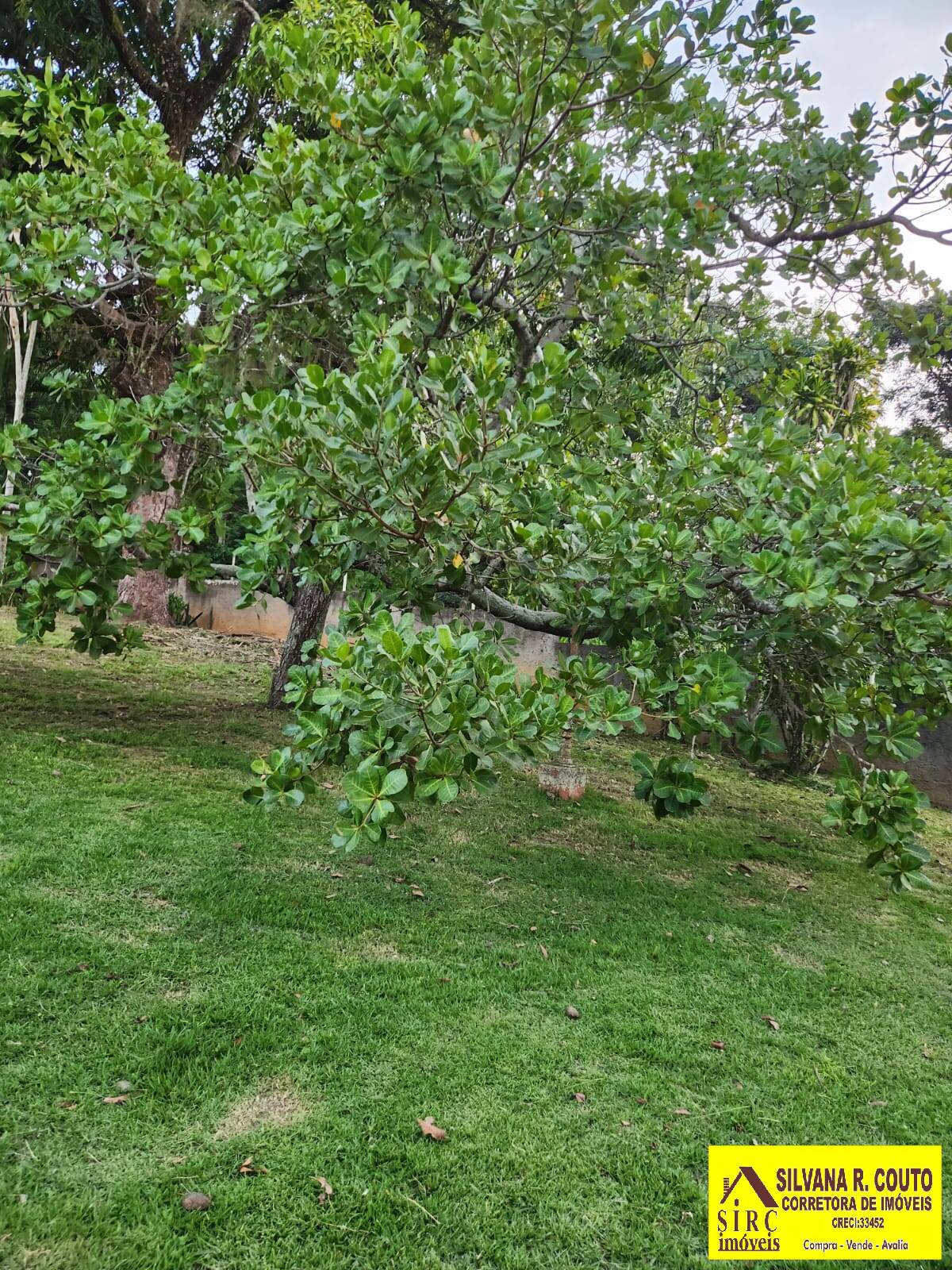 Chácara, 3 quartos, 3990 m² - Foto 58