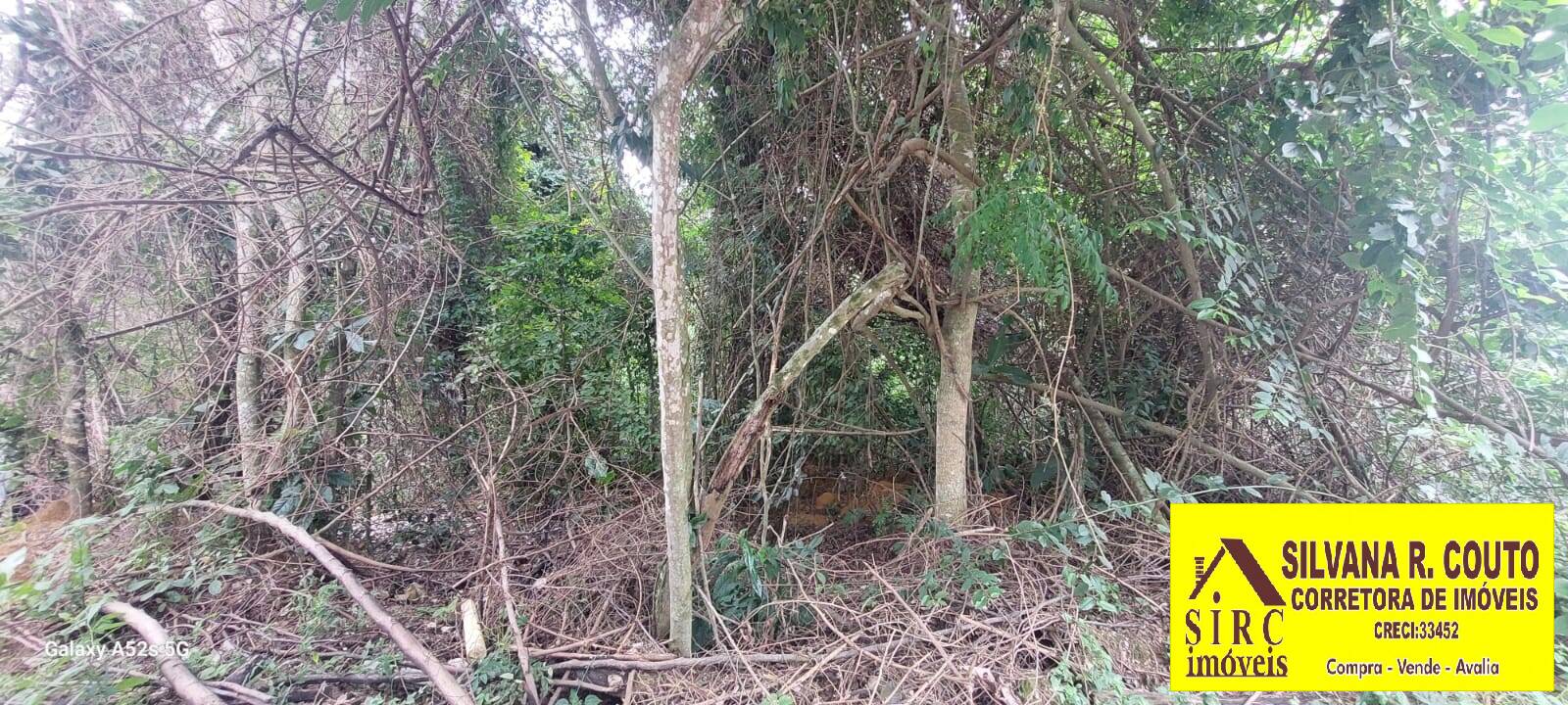 Terreno, 2138 m² - Foto 4