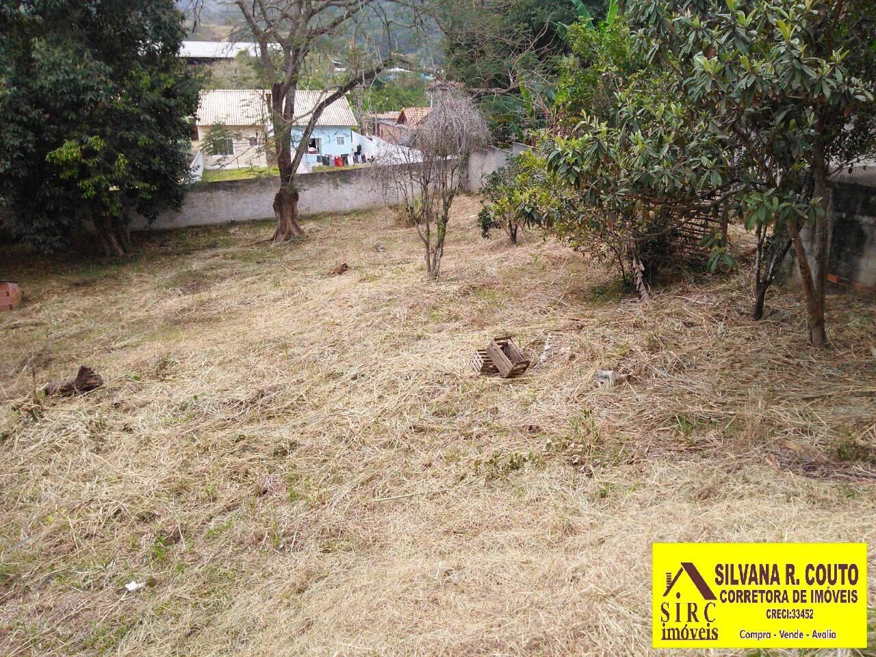 Casa, 3 quartos, 1000 m² - Foto 8