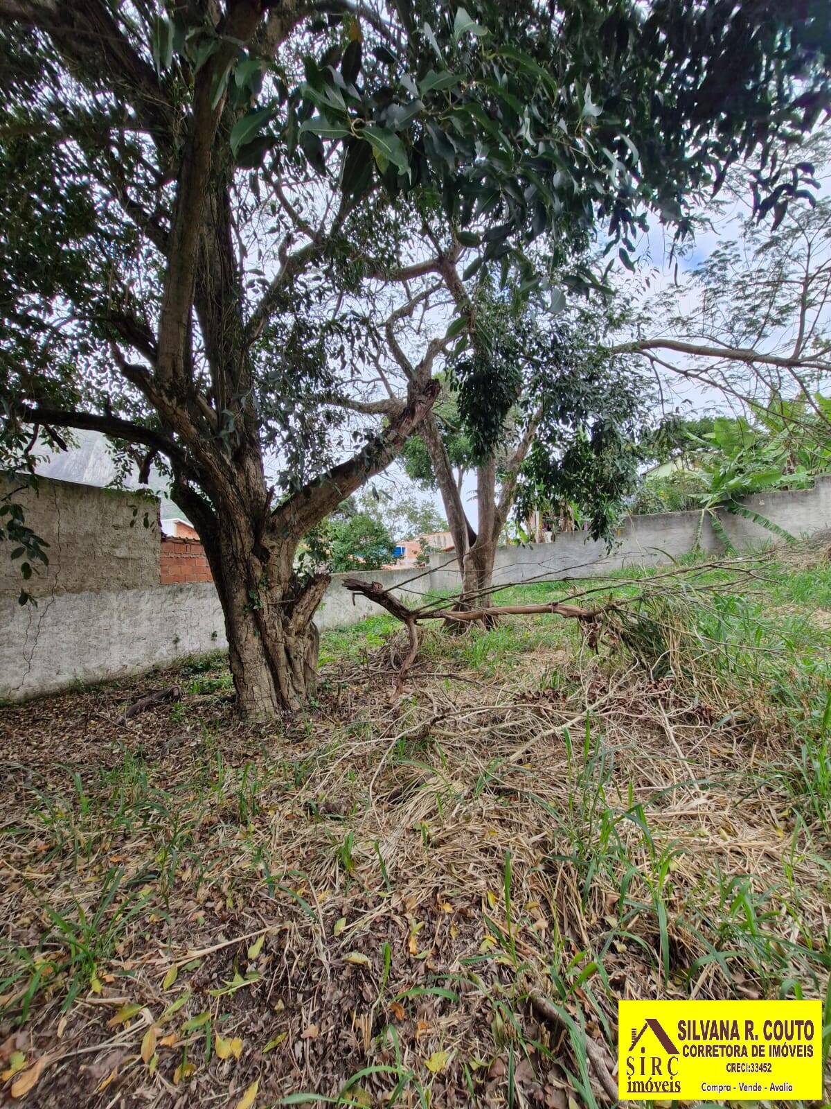 Casa, 3 quartos, 1000 m² - Foto 57