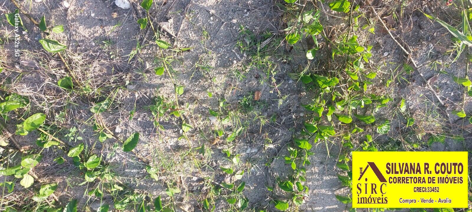 Terreno, 427 m² - Foto 7