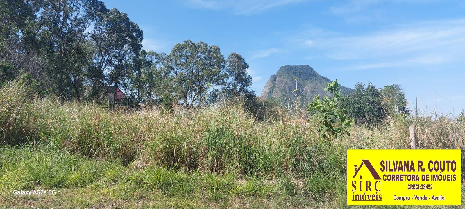 Casa, 3 quartos, 387 m² - Foto 6