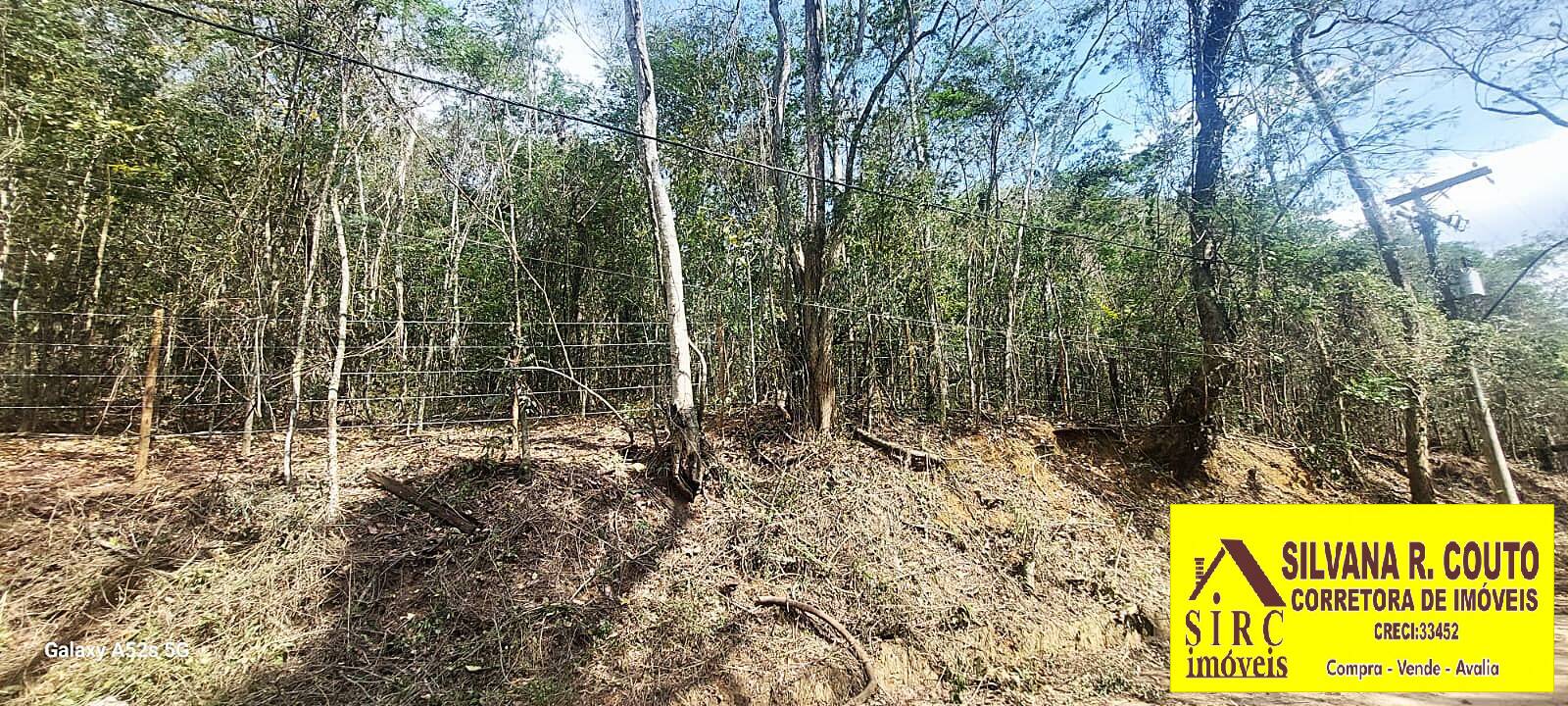 Terreno, 1 hectares - Foto 5