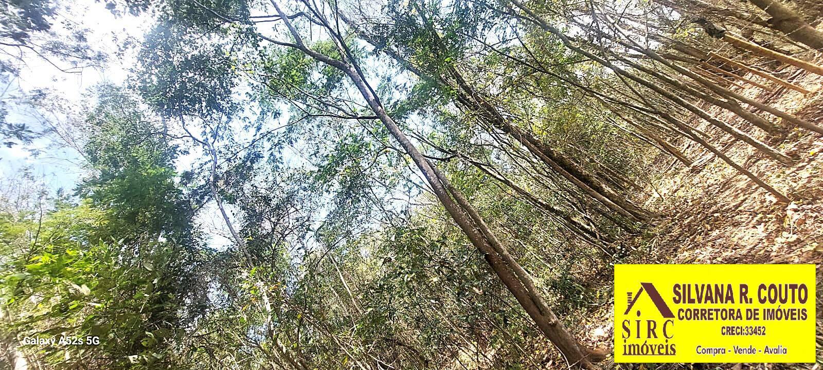 Terreno, 1 hectares - Foto 1