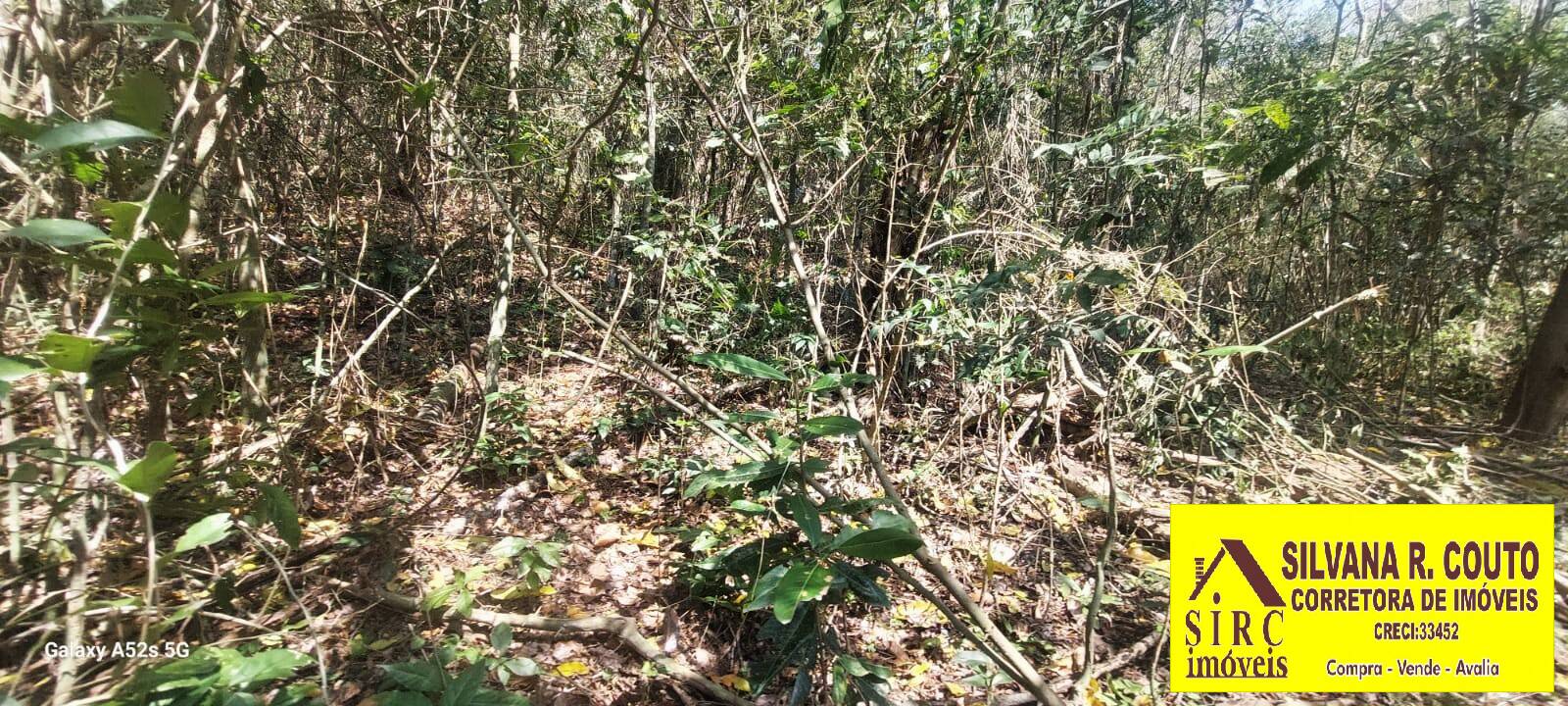 Terreno, 1 hectares - Foto 7