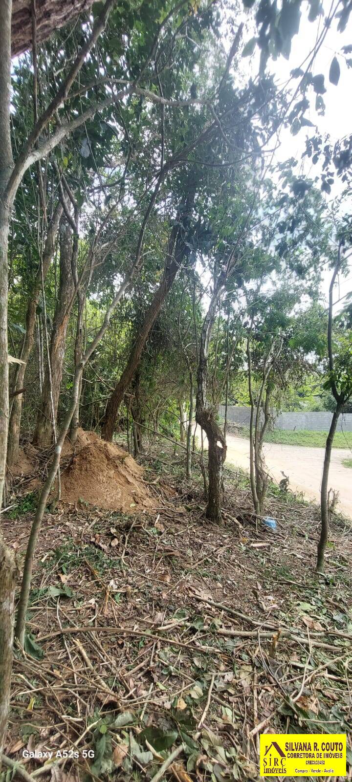 Terreno, 2000 m² - Foto 9