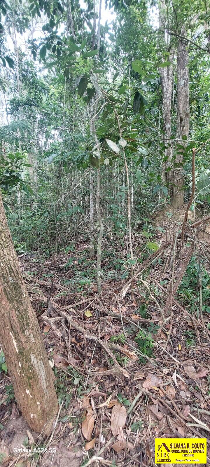 Terreno, 2000 m² - Foto 12