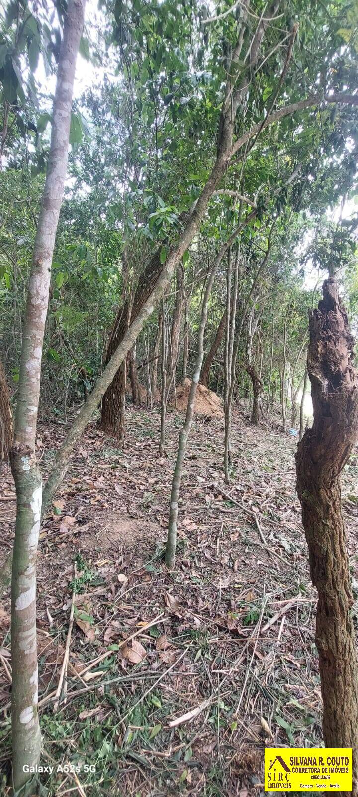 Terreno, 2000 m² - Foto 14