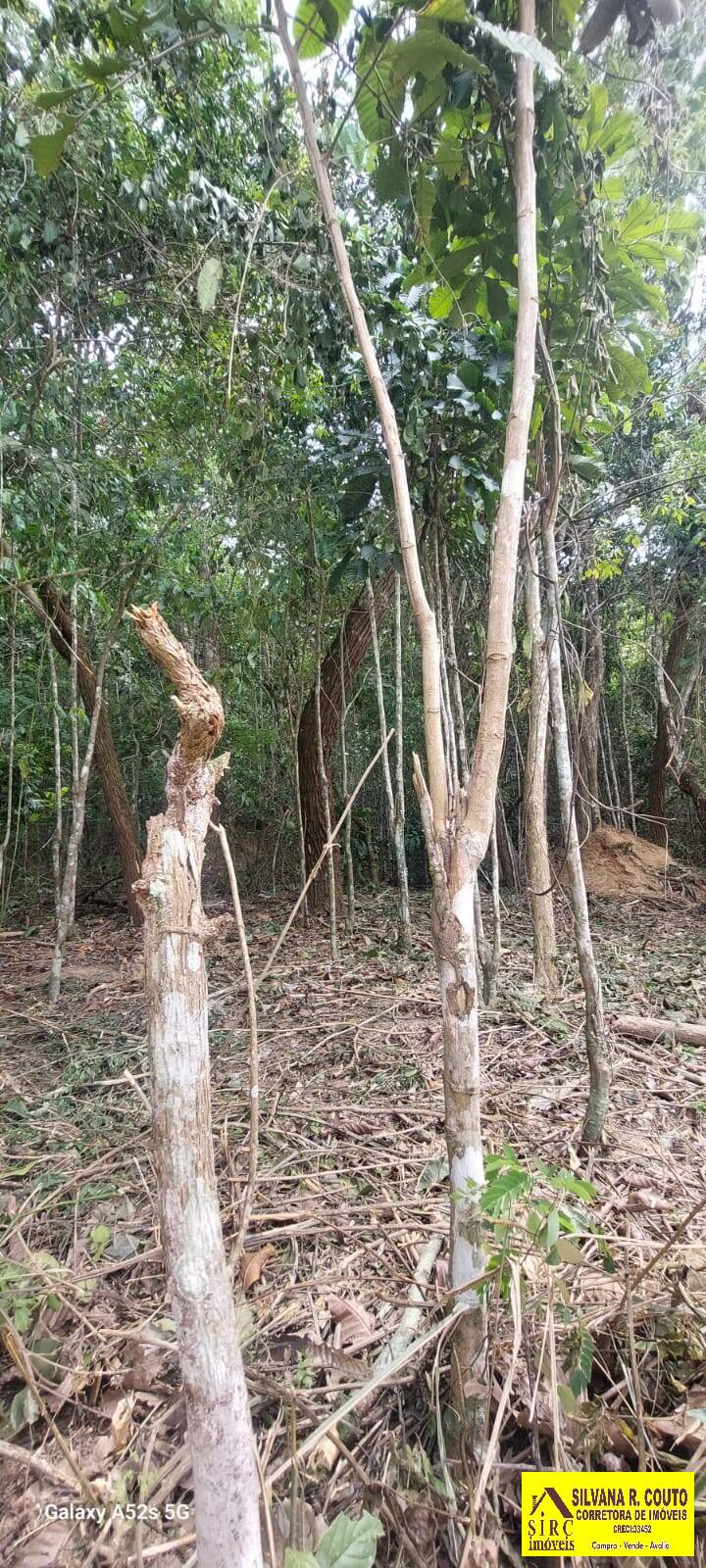 Terreno, 2000 m² - Foto 16