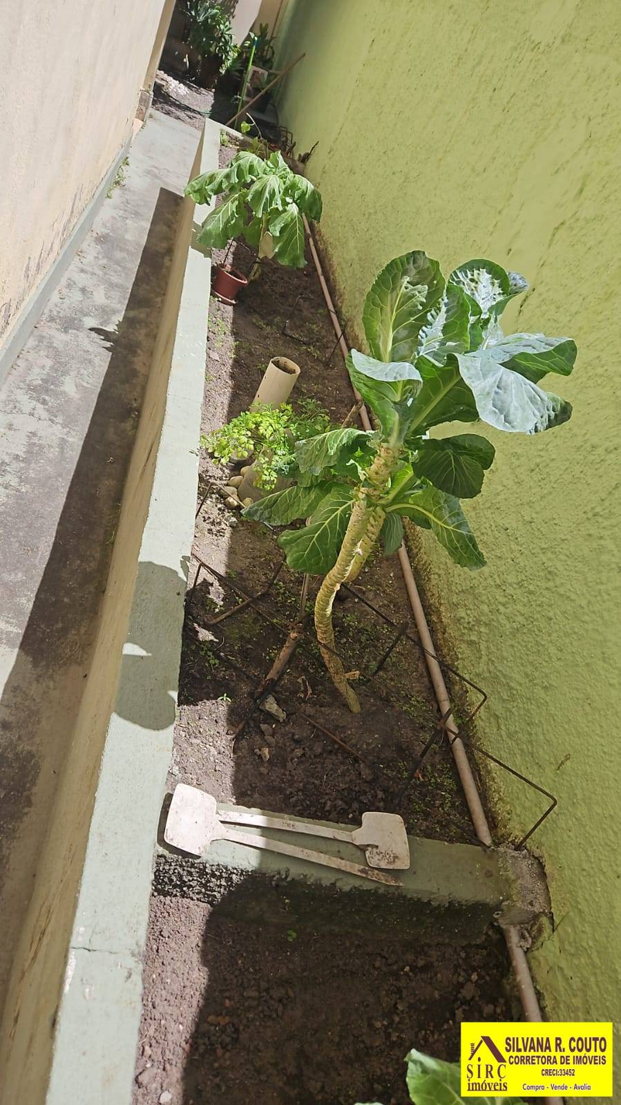 Casa, 3 quartos, 360 m² - Foto 29