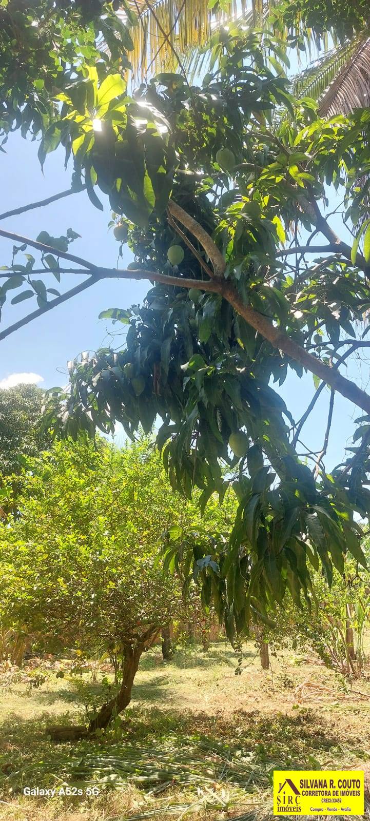 Casa, 3 quartos, 1500 m² - Foto 29