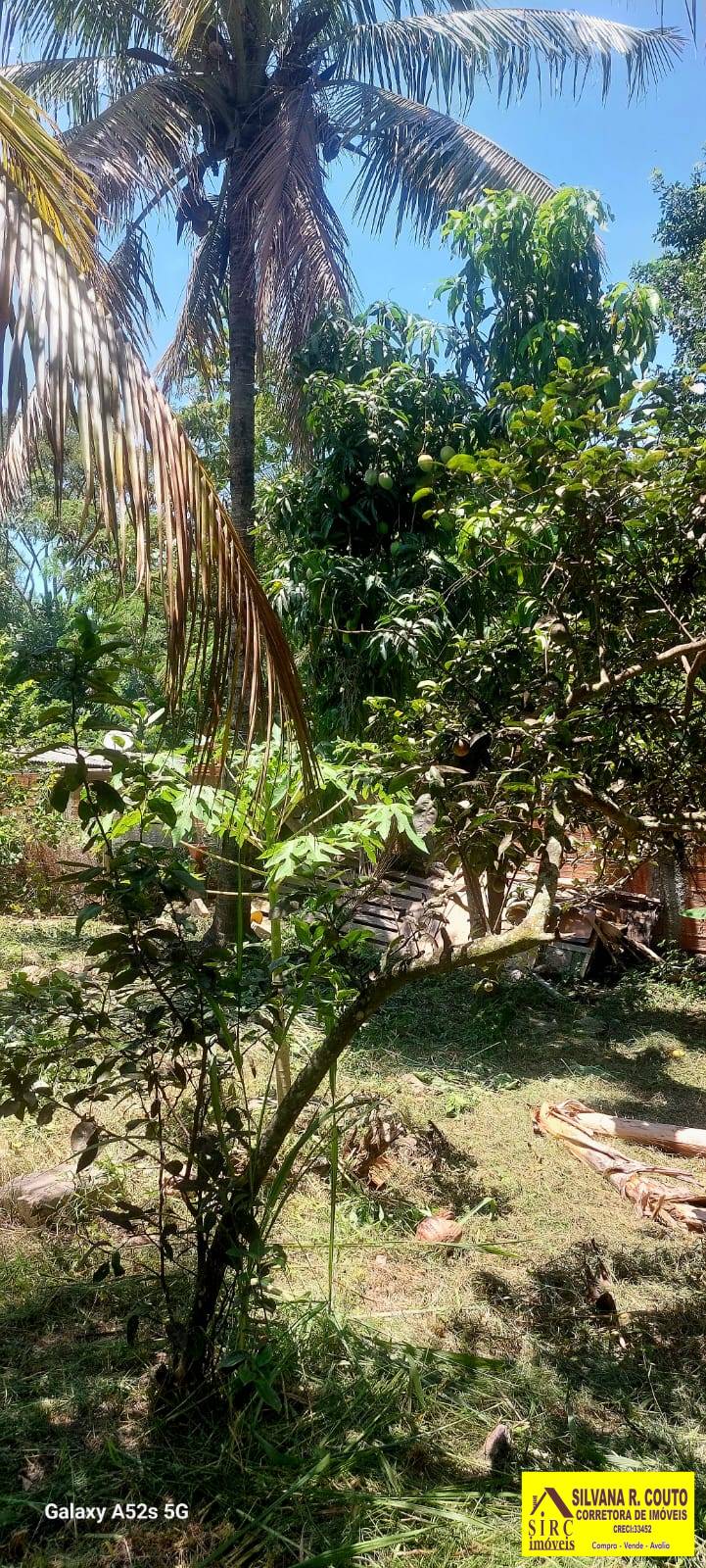 Casa, 3 quartos, 1500 m² - Foto 31