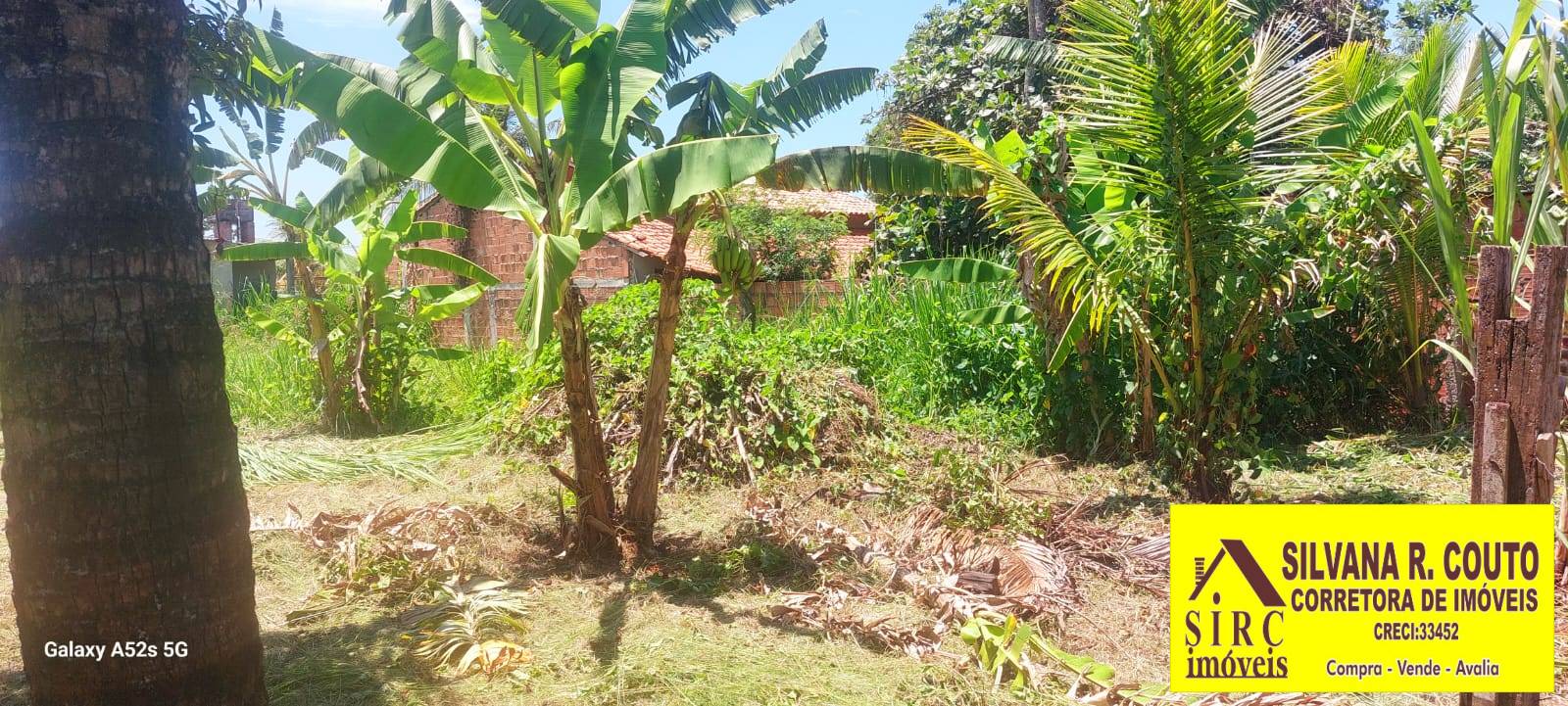 Casa, 3 quartos, 1500 m² - Foto 32