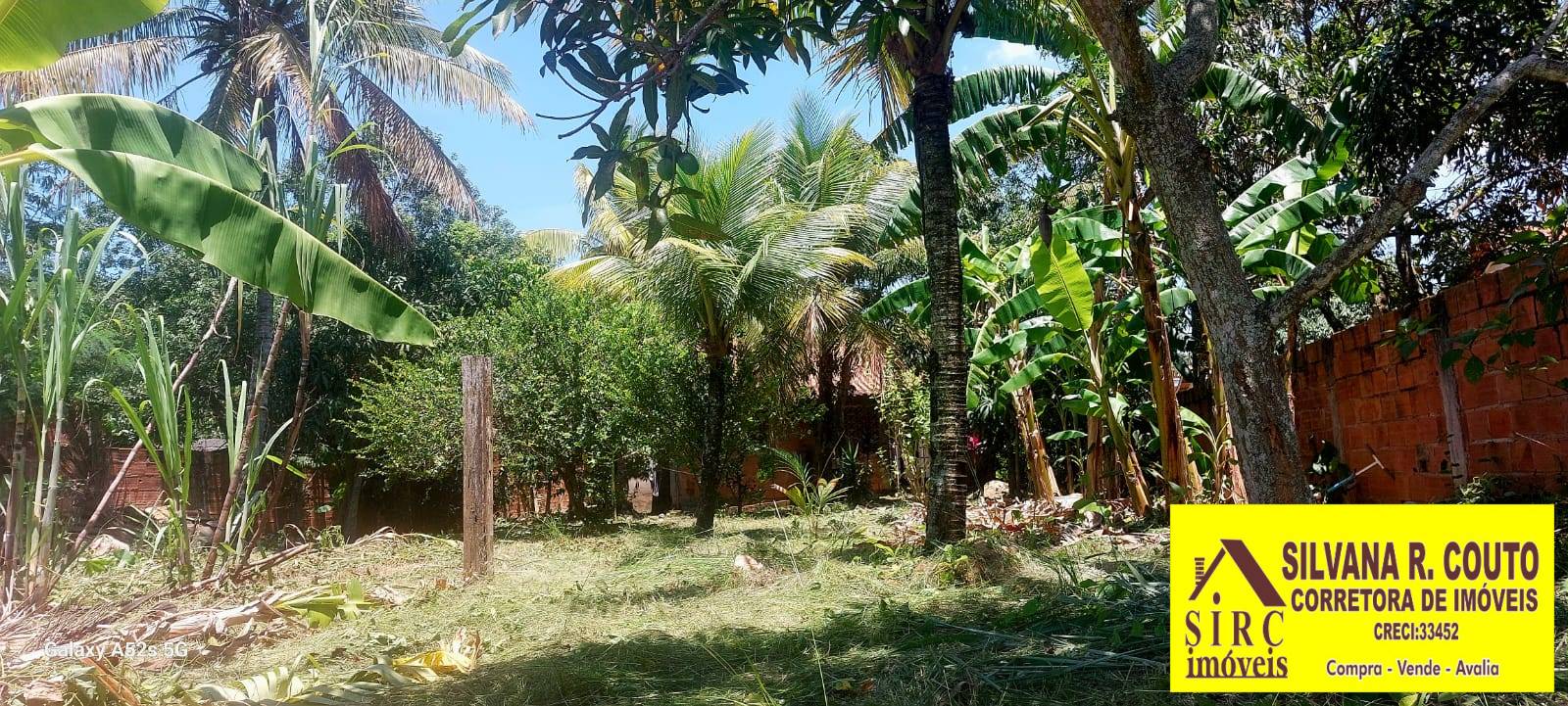 Casa, 3 quartos, 1500 m² - Foto 33