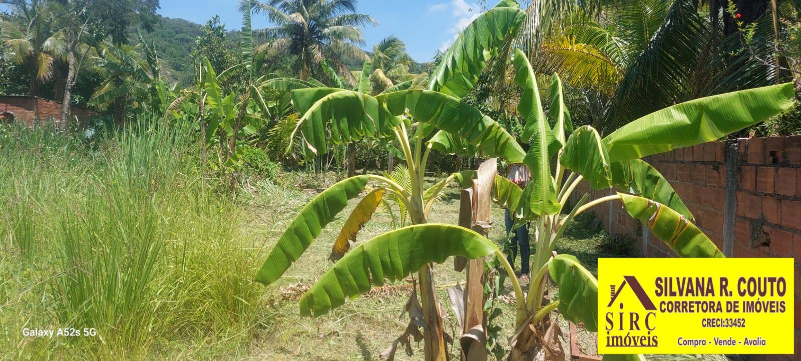 Casa, 3 quartos, 1500 m² - Foto 36