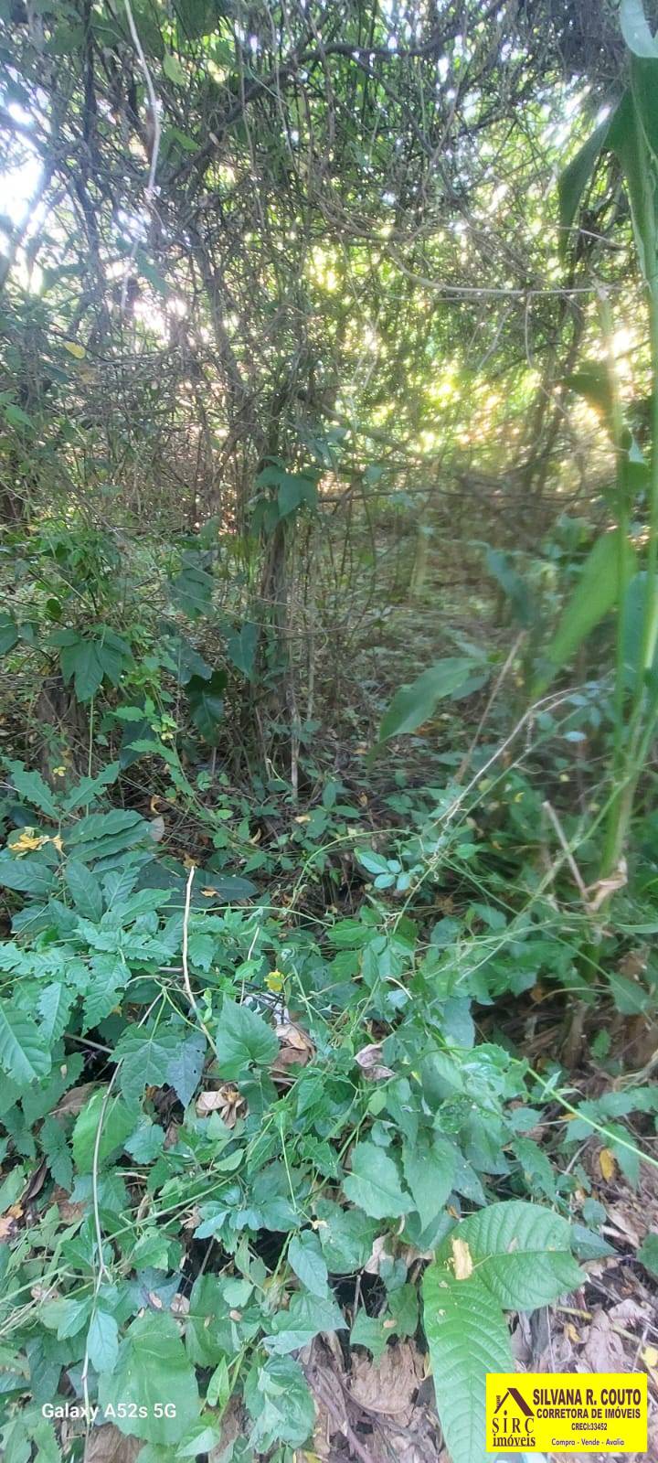 Terreno, 405 m² - Foto 18