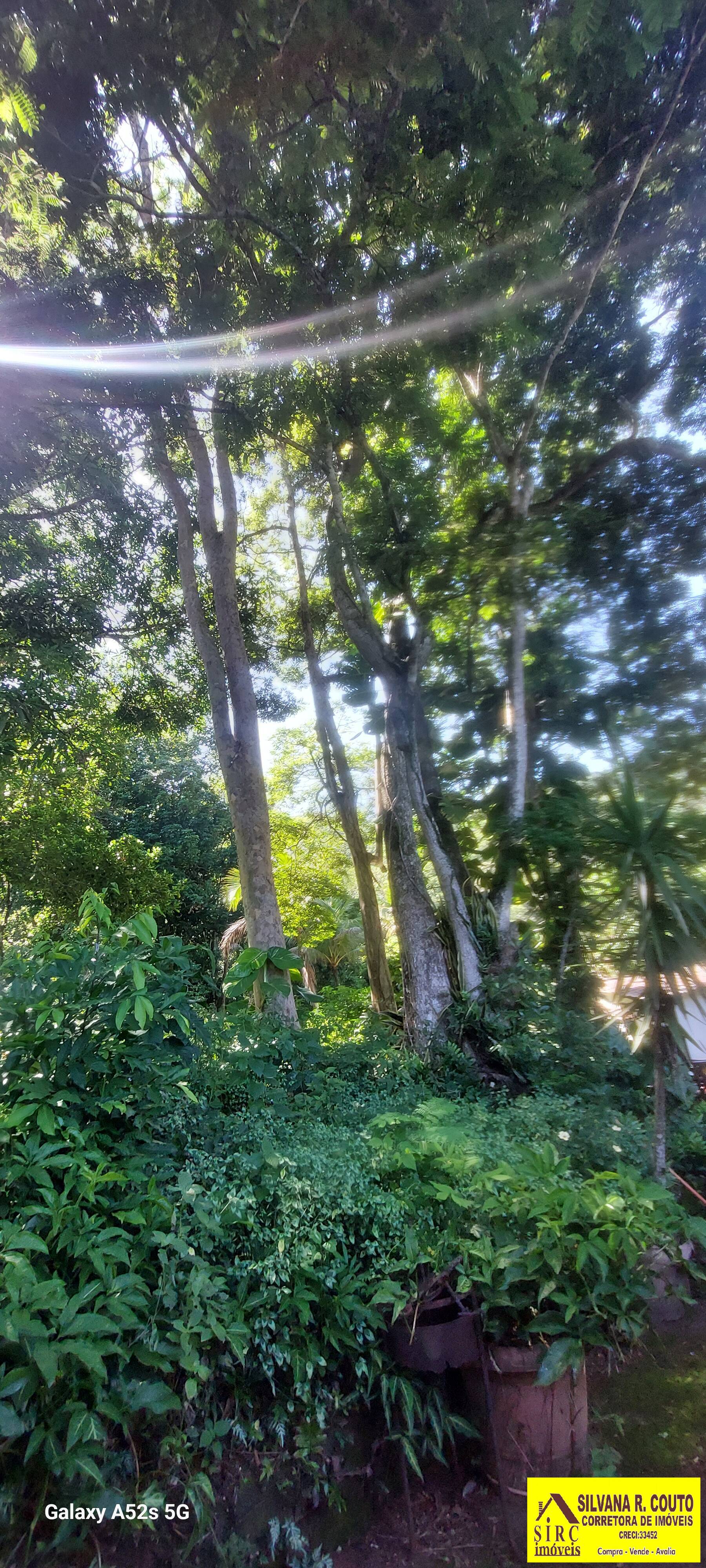 Casa, 4 quartos, 23000 m² - Foto 45