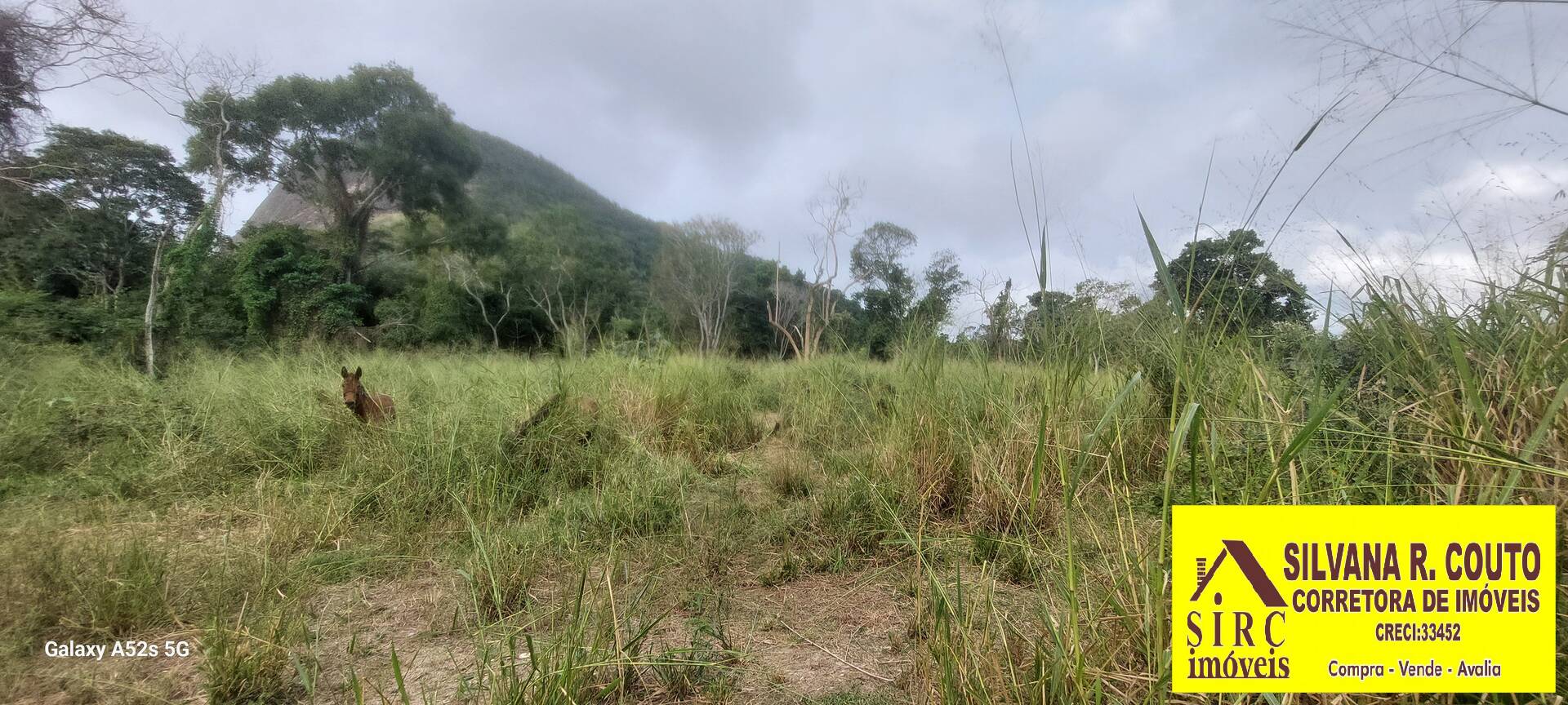Terreno, 3000 m² - Foto 4