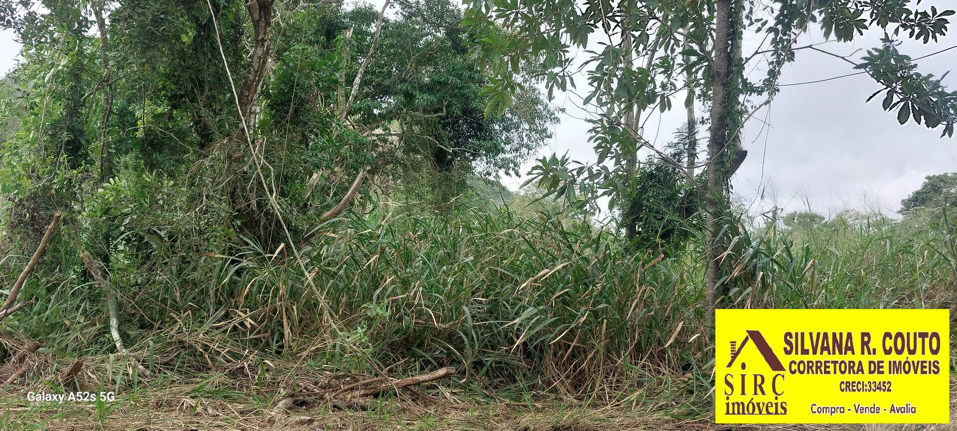 Terreno, 3000 m² - Foto 6